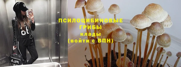 ешки Абдулино