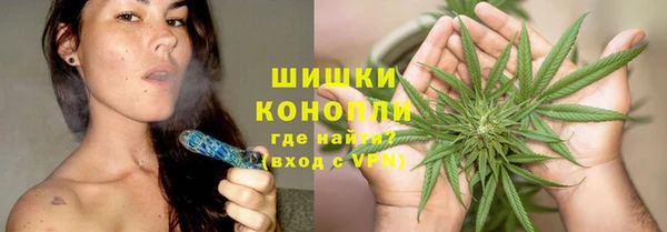 сатива Билибино