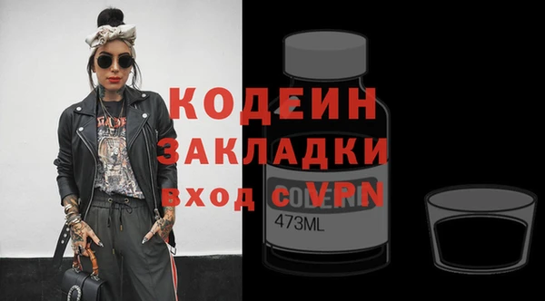 скорость Бикин