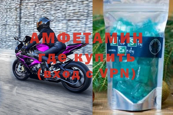 сатива Билибино