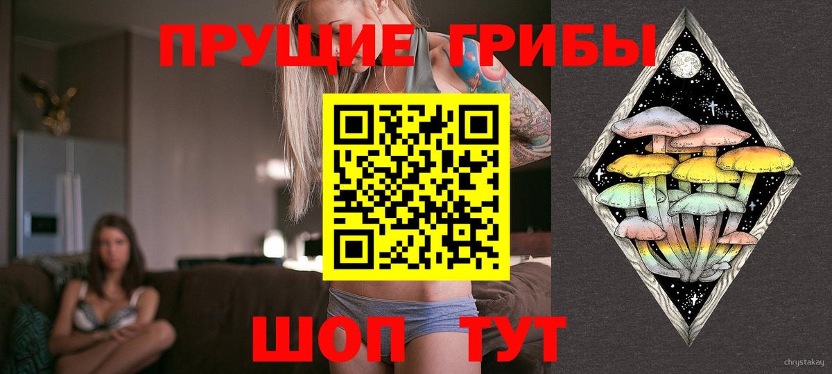 Галлюциногенные грибы прущие грибы Донской